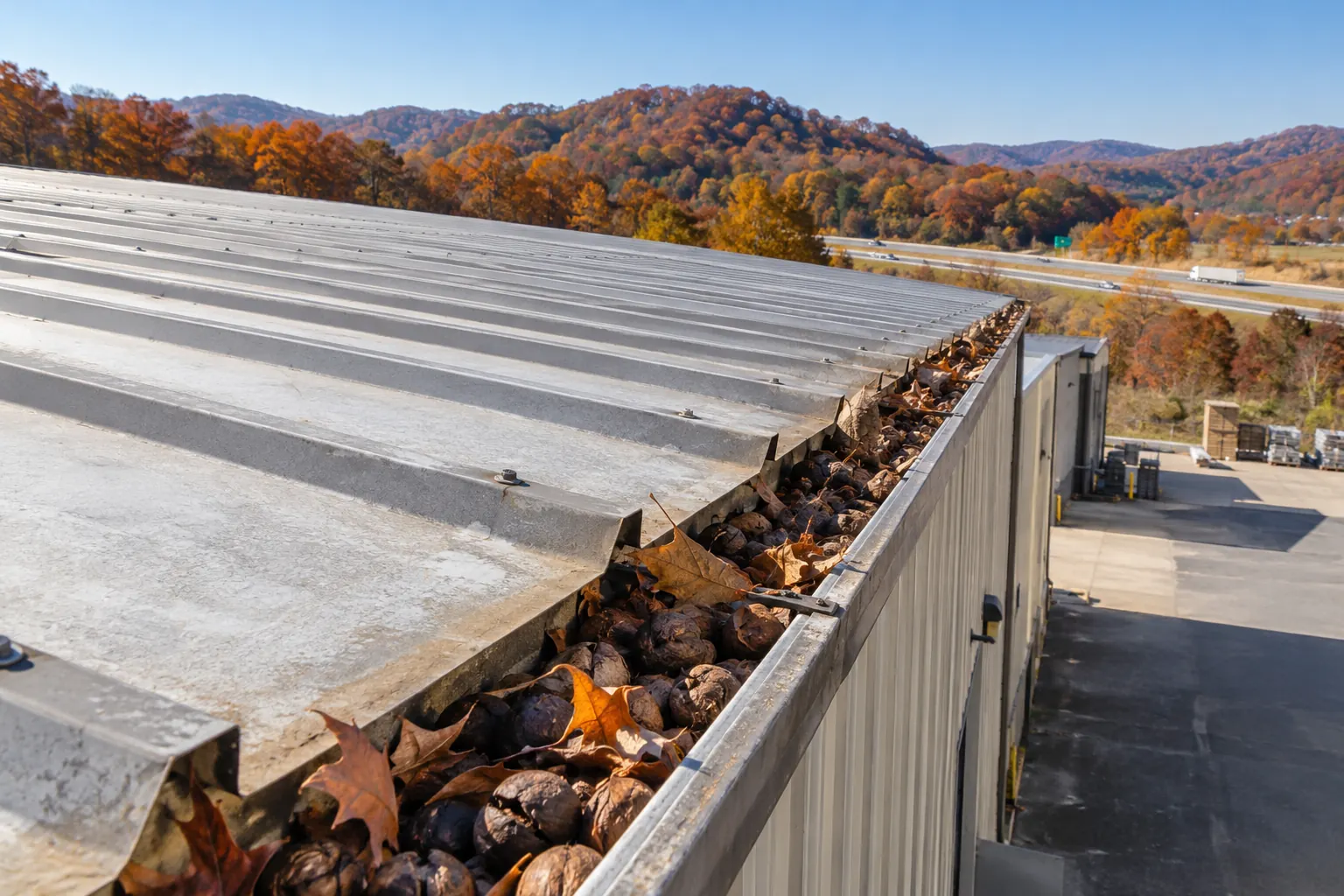 Debris packed in the gutter of a metal roof